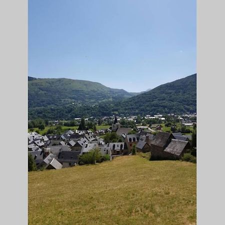 St Lary-Vignec Charmant Studio Au Calme Eksteriør bilde