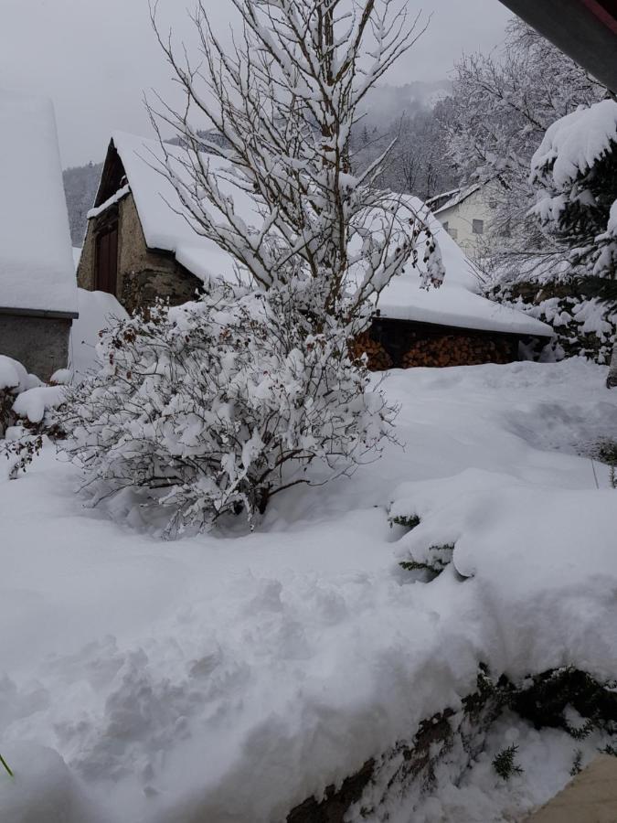 St Lary-Vignec Charmant Studio Au Calme Eksteriør bilde
